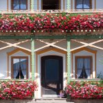 Záhradné centrum Ružomberok - Pestovanie a predaj balkónových rastlín